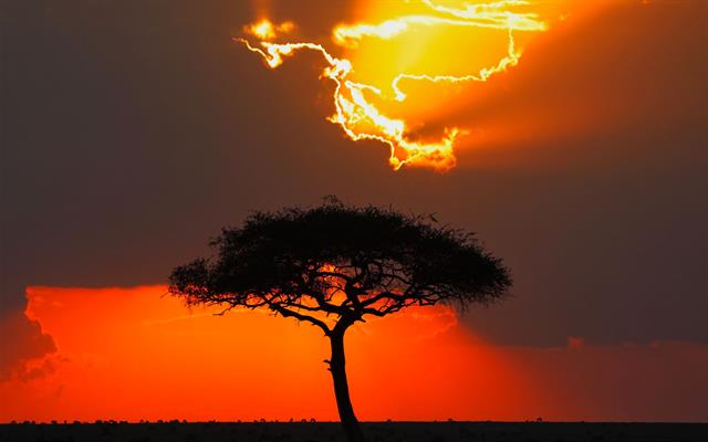 africa-e-oceano-indiano (33).jpg